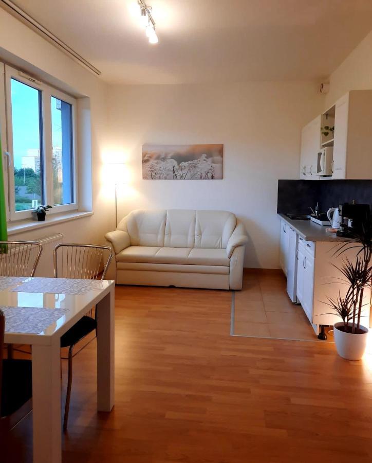 Apartment Prague-2 Rooms Free Parking Kültér fotó